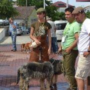 4 encontro iberico matilhas 41