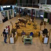 4 encontro iberico matilhas 9