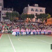 marchas meda 2017 58