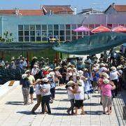 santos populares idosos meda 2017 100