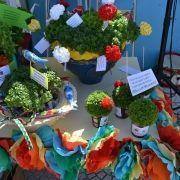 santos populares idosos meda 2017 103