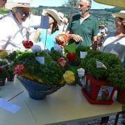 santos populares idosos meda 2017 106