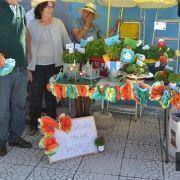 santos populares idosos meda 2017 107