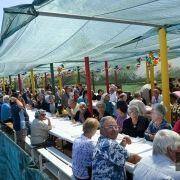 santos populares idosos meda 2017 15