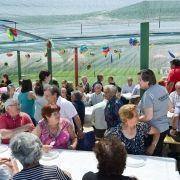 santos populares idosos meda 2017 16