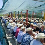 santos populares idosos meda 2017 19