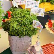 santos populares idosos meda 2017 27