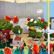 santos populares idosos meda 2017 30