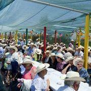 santos populares idosos meda 2017 32
