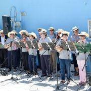 santos populares idosos meda 2017 45