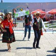 santos populares idosos meda 2017 50