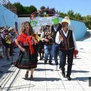 santos populares idosos meda 2017 65