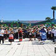 santos populares idosos meda 2017 82