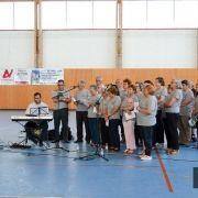 santos populares idosos meda 2017 9