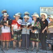 santos populares idosos meda 2017 98