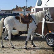 passeio equestre 2017 2