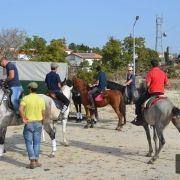passeio equestre 2017 23