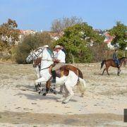 passeio equestre 2017 25