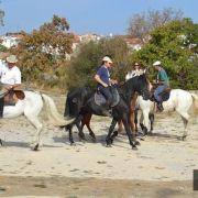passeio equestre 2017 26