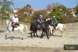 passeio equestre 2017 26