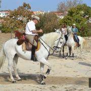 passeio equestre 2017 27