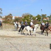 passeio equestre 2017 28