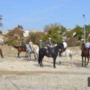 passeio equestre 2017 29