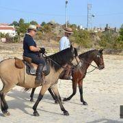 passeio equestre 2017 30