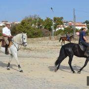 passeio equestre 2017 32