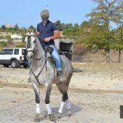 passeio equestre 2017 33