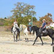 passeio equestre 2017 34
