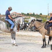 passeio equestre 2017 36