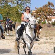 passeio equestre 2017 49