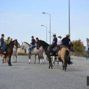 passeio equestre 2017 55
