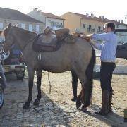 passeio equestre 2017 6