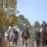 passeio equestre 2017 61