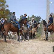 passeio equestre 2017 62