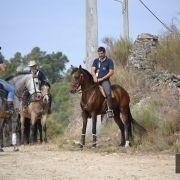 passeio equestre 2017 63
