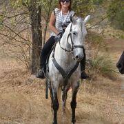 passeio equestre 2017 67