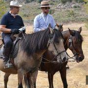 passeio equestre 2017 69