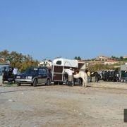 passeio equestre 2017 7