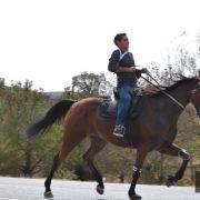passeio equestre 2017 74