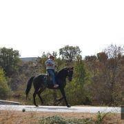 passeio equestre 2017 75