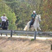 passeio equestre 2017 76