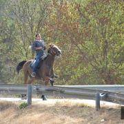 passeio equestre 2017 77
