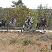 passeio equestre 2017 78