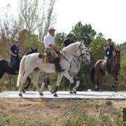 passeio equestre 2017 79