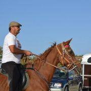 passeio equestre 2017 8