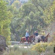 passeio equestre 2017 81