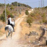 passeio equestre 2017 82